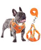 Rennaio Adjustable No-Pull Dog Harness & Leash Set - Ultra Breathable Padded Harness for Small & Medium Dogs (Pumpkin XL) - Perfect Puppy Dishes with Linen Clips - Buy Online on GoSupps.com