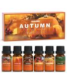 Autumn Fragrance Oil Set - ARVIDSSON Essential Oils for Diffuser & Candle Making | Pumpkin Spice Cinnamon Spiced Cider & More - Buy Online on GoSupps.com