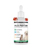 The Healthy Dog Co Spot On Flea and Tick Treatment for Dogs 100ml - Buy Online on GoSupps.com