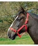 Rhinegold Nylon Halter Cob Red - Durable Stylish & Perfect for Your Horse | Shop Internationally - Buy Online on GoSupps.com
