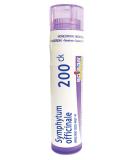Boiron Symphytum Officinale 200CK, 80 Pellets, Homeopathic Medicine for Bone Trauma 200ck 80 Count (Pack of 1) - Buy Online on GoSupps.com