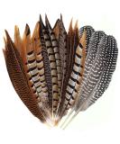 Flying Feathers Natural Pheasant Feathers 4 Style 15-20cm 12pcs Natural Feathers for DIY Craft Home Party Decorations FF03  - Buy Online on GoSupps.com