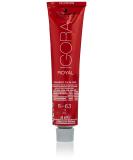 Schwarzkopf Igora Royal Premium hair color 6-63 Dark blonde chocolate matt 1 Pack (1 x 60 g) 6-63 dark blonde chocolate matt 60 ml (1 Pack) - Buy Online on GoSupps.com