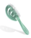 Ninabella Bio Hairbrush for Women Men & Children - Discrowling Without Ziepen for Lure Long Hair & Wet Hair - Sustainable Detanger Brush made of recycled material - green - Buy Online on GoSupps.com
