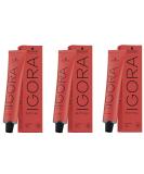 Schwarzkopf Igora Royal 8-1 Hair Color Set - 3 x 60ml | Buy Internationally - Fast Shipping - Buy Online on GoSupps.com