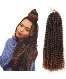 Passion twist hair 7 packs 18-inch water shaft hair for long Bohemian hair lichen from hair yddm passion twist crochet hairenhetic hair extensions (T1b-30# 7pack-18inch) T1b-30inch (7 Pack) - Buy Online on GoSupps.com