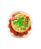 Aka Umeboshi (Pickled Plums) - 8.46oz - Authentic Japanese Delicacy - Buy Online on GoSupps.com