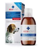 Recoactiv joint tonic for dogs 1 x 280 ml diet supplementary feed in degenerative joint diseases with green lip pussy glucosamine chondroitin sulfate MSM devil claw & omega-3 1 x 280ml - Buy Online on GoSupps.com