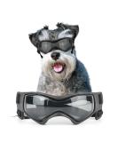 NAMSAN Medium Dog Goggles | Anti-UV Glare Sunglasses for Small to Medium Dogs | Adjustable Motorcycle Glasses for Doggy Eye Protection - Buy Online on GoSupps.com
