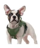 Rabbitgoo Adjustable Dog Harness for Small Dogs - Wear-Resistant Tactical Design with Metal Buckles & Handles - Perfect for Hiking - Green (1 Pack) - Buy Online on GoSupps.com