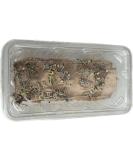 Livefood UK Live Locusts Medium size 15mm to 30mm tub of 25 Live locusts (Reptile Livefood) 1 count (Pack of 25) - Buy Online on GoSupps.com
