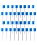 80PC Mouth Care Sticks | Oral Hygiene Neutral Oral Care Sticks | Individually Packaged for Medical & Electronics Use - Buy Online on GoSupps.com