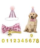 Dog Birthday Hat Kit with Bow Tie Collar and Gold Number - Pink Pet Party Decorations - Buy Online on GoSupps.com