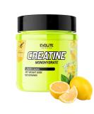 Evolite Nutrition Creatine Monohydrate 500g - Flavored Creatine Powder for Pre Workout Boost - Lemon Taurine - Best Creatine Supplement - Buy Online on GoSupps.com