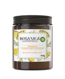 Botanica by Air Wick Large XL Candle - Pineapple & Tunisian Rosemary - 90 Hours Burn Time - Sustainable Natural Ingredients - 500g Glass Candle - Buy Online on GoSupps.com