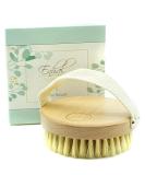 ENHAL Premium Body Brush - Medium Soft | Cellulite Reduction | Eco-Friendly | Natural Bristles | Lymphatic Drainage Massage | Professional Dry Brush - Buy Online on GoSupps.com