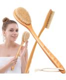 Dry Brushing Body Brush for Smooth Skin & Cellulite Reduction - Long Handle Shower Back Brush with Natural Bristles for Skin Massage & Circulation Boost - Buy Online on GoSupps.com