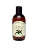 L'Erbolario Nettle Shampoo - Volumizing & Strengthening for Dry Fine Hair - Paraben & Silicone Free - 6.7 oz - Buy Online on GoSupps.com