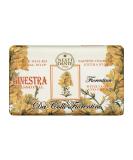 Nesti Dante Dei Colli Fiorentini Triple Milled Soap - Broom 250g | Luxe Vegan Soap for International Shipping - Buy Online on GoSupps.com