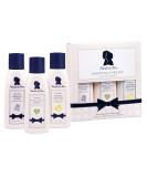 Noodle & Boo Essential Care 3 Piece Kit Super Soft Baby Lotion(2 Oz), Extra Gentle Shampoo(2 Oz) and Soothing Body Wash(2 Oz) - Buy Online on GoSupps.com