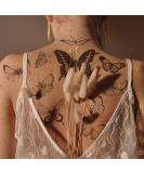 Everjoy Realistic Black Butterfly Temporary Tattoo Stickers - Waterproof Fake Tattoos  Party Favors  Themed Decorations and Gifts for Women - Buy Online on GoSupps.com