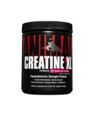 Animal Creatine XL Powder with PurpleForce & Senactiv - Enhanced Creatine Monohydrate Supplement for Endurance and Recovery - Watermelon Flavor - 9.84 oz - Buy Online on GoSupps.com
