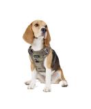 Funfox Adjustable No Pull Dog Harness for Small Dogs - Breathable & Safe M Camouflage Green | Anti-Zug Design - Buy Online on GoSupps.com