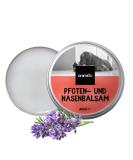 Animigo noses & paw balm for dogs & cats - for dry cracked noses & paws in summer - 60ml paw care & nose balm with lavender oil beeswax vitamin E - nasal ointment & paw protection - Buy Online on GoSupps.com