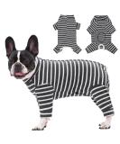 Buy Axcimond Long-Sleeved Dog Body - Post-Op Wound Protection for Small & Medium Dogs - Alternative to Cone XL Gray - Buy Online on GoSupps.com