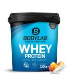 Bodylab24 Whey Protein Powder - 1kg Peach Yoghurt Flavor | Premium Protein for Fitness & Health - Buy Online on GoSupps.com