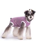 Recovery Suit for Dog Puppy Medical Surgical Suit Pet Anti-licking Surgery Suit Dog Surgical Recovery Suit Dog Surgical Onesie Suit Dog Surgical Vest for Abdominal Wounds (Purple M) M Purple - Buy Online on GoSupps.com