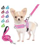 Eyein No-Pull Dog Harness & Leash - Reflective Adjustable Soft Padded Dishes for Puppies Small & Large Dogs Cats - Rose Red XS - Buy Online on GoSupps.com