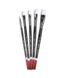 Angelus Paint Brush Set Round Flat Angular Artist Acrylic Paint Brush Set Shoe paint Brush set (5 pcs) - Buy Online on GoSupps.com