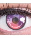 Shop Meralens Anime Arc 2 Violet Crazy Fun Colored Contact Lenses - Premium Purple Annual Lenses for Carnival Halloween & Cosplay 2023 - Free Lens Case Included - Buy Online on GoSupps.com