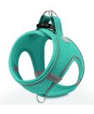 Joyal Dog Harness | Reflective Soft Padded Air-Mesh Harness for Small & Medium Dogs | Turquoise L (47-55cm) - Buy Online on GoSupps.com