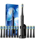TEETHEORY Upgraded Sonic Electric Toothbrush for Adults | 10 Brush Heads, 40000 VPM, 3 Modes - Black - Buy Online on GoSupps.com