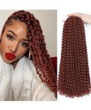 Passion Twist Hair - 6 Packs 18 Inch Crochet Braids | Yddm Synthetic Extensions - Best Value - Buy Online on GoSupps.com