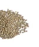 1000pcs 3.0mm Silicone Nano Rings Hair Extension Beads - Gray Blonde | Micro Rings Links for Hair Extensions - Buy Online on GoSupps.com