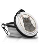 British Shorthair Foldable Pet Bowl - Portable Drinking Bowl with Carabiner for Travel | Unique & Handy Food Bowl - Buy Online on GoSupps.com