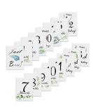 POWER FLOWER 16 Pcs Monthly Baby Milestone Cards - Perfect Gift Sets for Newborns - Buy Online on GoSupps.com