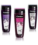 Cameleo Semi-Permanent Hair Toner - Glamorous Brown Color for Blonde & Gray Hair - Paraben-Free 200ml (3-Pack) - Buy Online on GoSupps.com