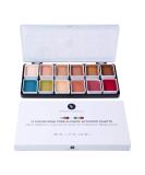 Narrative Cosmetics 12-Color Flesh Tone Alcohol-Activated Palette, Tattoo Cover, Highly Pigmented Professional SFX Makeup for Film, Theatre, TV - Buy Online on GoSupps.com