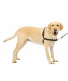 PetSafe Easy Walk Harness Anti-Pull Dog Harness Reduces Choking and Coughing With 1.8M Leash Size L Black L Black - Buy Online on GoSupps.com