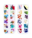 Dried Flowers for Resin Nail Art - 108 Pcs in 62 Colors - 3D Dry Flowers for Nails - Real Natural Flower Nail Art Decoration Supplies - Buy Online on GoSupps.com