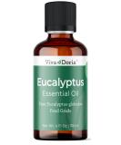 Viva Doria Pure Eucalyptus Globulus Essential Oil - Food Grade 4 Fl Oz (118 ml) | Premium Natural Aromatherapy Oil for Wellness - International Shipping Available - Buy Online on GoSupps.com