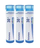 Boiron Dulcamara 30c Homeopathic Medicine for Joint Pain - Pack of 3 (240 Pellets) - Buy Online on GoSupps.com
