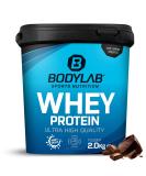 Bodylab24 Whey Protein Powder Chocolate 2kg Chocolate 2 kg (1 pack) - Buy Online on GoSupps.com