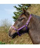 Rhinegold Nylon Halter for Coldblood & Warmblood - Extra Large Violet | Premium Equestrian Gear - International Shipping - Buy Online on GoSupps.com