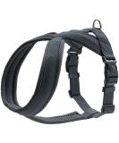 Hunter Harness London Comfort - Anthracite M | Premium Quality Pet Harness for International Shipping - Buy Online on GoSupps.com