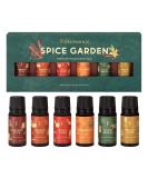 Folkulture Fall Essential Oils Set - 6 Premium Oils for Diffuser & Candle Making | Pumpkin Spice & Vanilla Spice | 60 ml - Buy Online on GoSupps.com